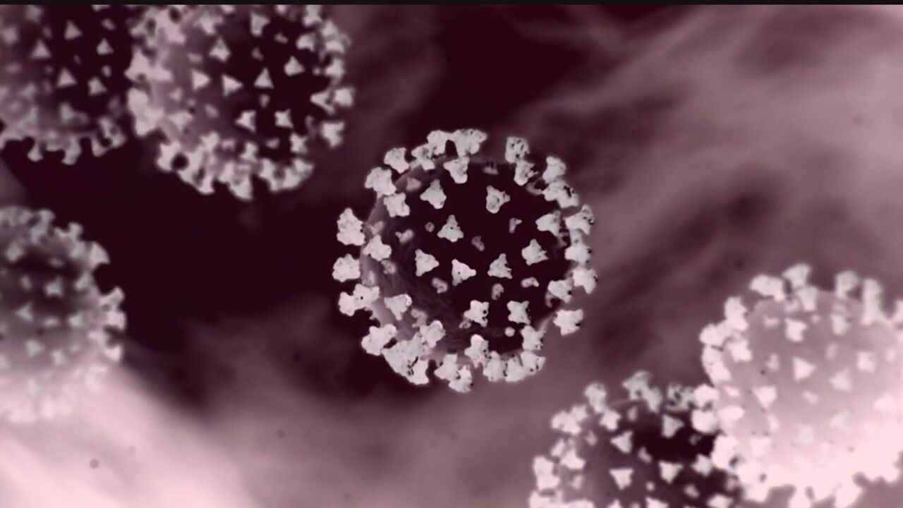 Omicron variant detected in Sangamon County